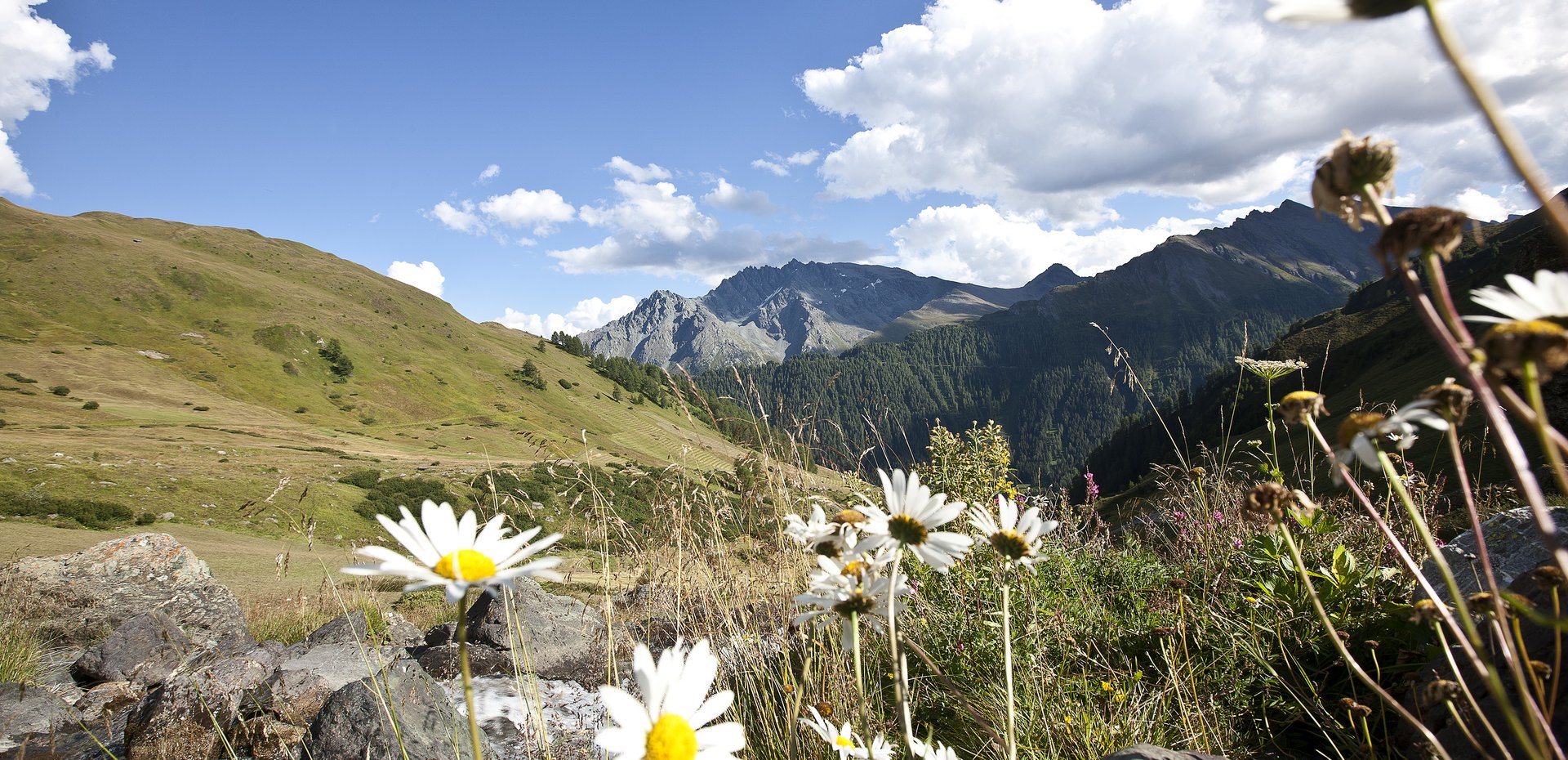 header-img